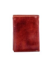 коричневый кожаный кошелек с тиснением цена и информация | Мужские кошельки | pigu.lt