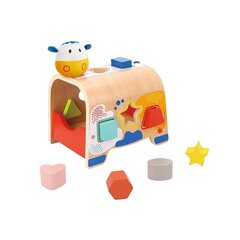 Medinis, spalvingas rūšiuoklis, Tooky Toy kaina ir informacija | Žaislai kūdikiams | pigu.lt
