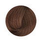 BioMagic plaukų dažai su argano aliejumi ir keratinu 60 ml, Nr. 6.00 цена и информация | Plaukų dažai | pigu.lt