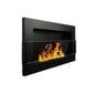 Pakabinamas įmontuojamas biožidinys Bioheat 650x400 TUV Black Glass цена и информация | Židiniai, ugniakurai | pigu.lt