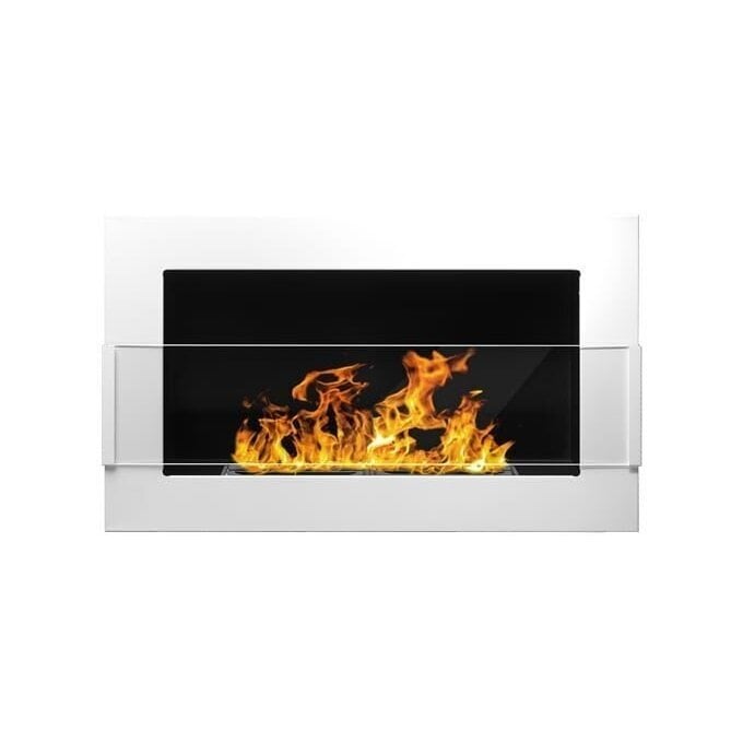 Pakabinamas įmontuojamas biožidinys Bioheat 650x400 TUV White Less Glass цена и информация | Židiniai, ugniakurai | pigu.lt