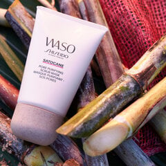 Отшелушивающая маска для лица Shiseido Waso Satocane, 80 мл цена и информация | Маски для лица, патчи для глаз | pigu.lt