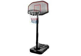 Регулируемое баскетбольное кольцо, 200-300 см цена и информация | Баскетбольные стойки | pigu.lt