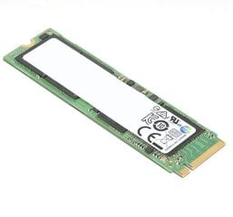 Внутренний жесткий диск SSD Lenovo ThinkPad 4XB1D04758 2000 ГБ цена и информация | Внутренние жёсткие диски (HDD, SSD, Hybrid) | pigu.lt