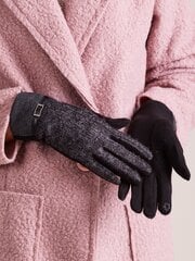 Pirštinės moterims XL/XXL цена и информация | Женские перчатки | pigu.lt
