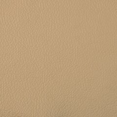Sofa Aleksandra 3S N, smėlio spalvos kaina ir informacija | Sofos | pigu.lt