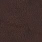 Sofa Emma 2S, tamsiai ruda kaina ir informacija | Sofos | pigu.lt