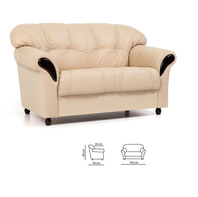 Sofa Rosa 2S N, juoda kaina ir informacija | Sofos | pigu.lt