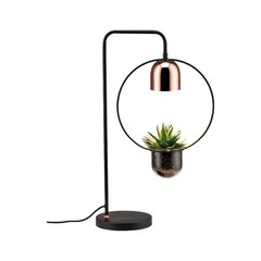 Настольная лампа Paulmann Fanja, для растений, без лампы  цена и информация | Настольные светильники | pigu.lt