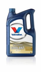 Охлаждающая жидкость Valvoline multivehicle coolant цена и информация | Автопринадлежности | pigu.lt
