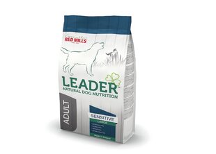 Leader Adult Sensitive didelių veislių šunims, 2 kg kaina ir informacija | Leader Sportas, laisvalaikis, turizmas | pigu.lt