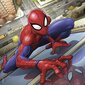 Dėlionė Ravensburger Spiderman, 3x49 d. kaina ir informacija | Dėlionės (puzzle) | pigu.lt