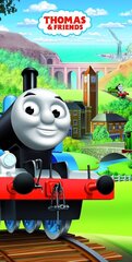 Пляжное полотенце Thomas and Friends 01, 70 x 140 cm цена и информация | Полотенца | pigu.lt