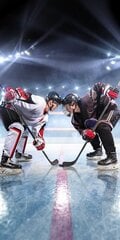 Paplūdimio rankšluostis Ice Hockey, 70 x 140 cm kaina ir informacija | Rankšluosčiai | pigu.lt