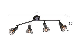 FH Lighting lubinis šviestuvas Jess kaina ir informacija | Lubiniai šviestuvai | pigu.lt