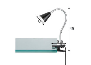 Лампа для чтения FH Lighting Zirbel цена и информация | Настольные светильники | pigu.lt