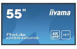 Iiyama 1_781601, 54.6'' kaina ir informacija | Monitoriai | pigu.lt