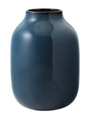 Villeroy & Boch vaza 22 cm kaina ir informacija | Vazos | pigu.lt