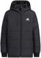 Striukė vaikams Adidas Yk Padded Jkt Black H45030, juoda цена и информация | Striukės berniukams | pigu.lt