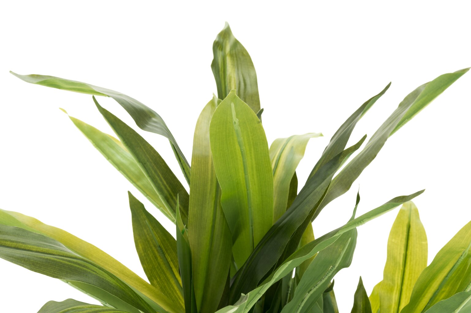 4Living dirbtinis augalas Juka, 85 cm kaina ir informacija | Interjero detalės | pigu.lt