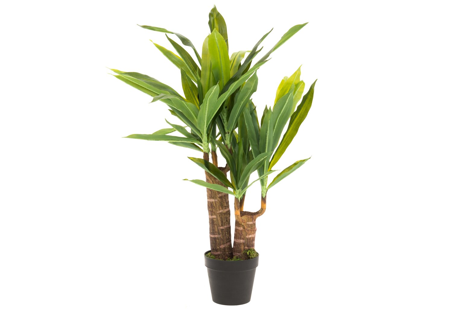 4Living dirbtinis augalas Juka, 85 cm kaina ir informacija | Interjero detalės | pigu.lt