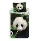 Vaikiškas patalynės komplektas Panda, 140x200 cm, 2 dalių цена и информация | Patalynė kūdikiams, vaikams | pigu.lt