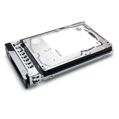 Dell 401-ABHQ kaina ir informacija | Vidiniai kietieji diskai (HDD, SSD, Hybrid) | pigu.lt