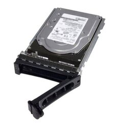 Dell 400-AMUI цена и информация | Внутренние жёсткие диски (HDD, SSD, Hybrid) | pigu.lt