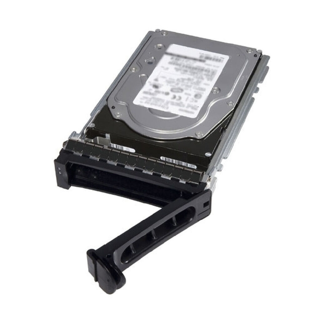 Dell 400-ATJG kaina ir informacija | Vidiniai kietieji diskai (HDD, SSD, Hybrid) | pigu.lt