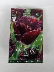 Tulpės Purple Crystal, 10 vnt. kaina ir informacija | Gėlių svogūnėliai | pigu.lt