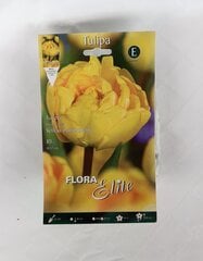 Tulpės Yellow Pomponette, 10 vnt. kaina ir informacija | Gėlių svogūnėliai | pigu.lt