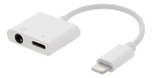 Adapteris Epzi Lightning/3.5 mm kaina ir informacija | Adapteriai, USB šakotuvai | pigu.lt