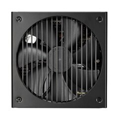 Fractal Design FD-P-IA2P-560-EU kaina ir informacija | Maitinimo šaltiniai (PSU) | pigu.lt