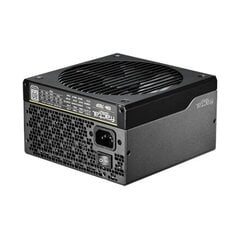 Fractal Design Ion+ FD-P-IA2P-760-EU kaina ir informacija | Maitinimo šaltiniai (PSU) | pigu.lt