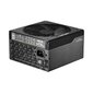 Fractal Design FD-P-IA2P-860-EU kaina ir informacija | Maitinimo šaltiniai (PSU) | pigu.lt