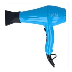 Muster Spray 3000 kaina ir informacija | Plaukų džiovintuvai | pigu.lt