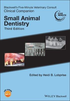 Blackwell's Five-Minute Veterinary Consult Clinical Companion: Small Animal Dentistry 3Rd Edition цена и информация | Lavinamosios knygos | pigu.lt