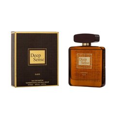 Ароматизированная вода для мужчин Deep Sense EDP, 100 ml цена и информация | Мужские духи | pigu.lt