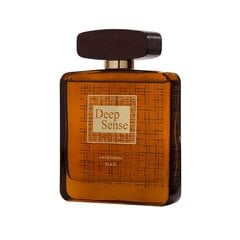 Kvapusis vanduo Prestige Parfums Deep Sense EDP vyrams, 100 ml цена и информация | Мужские духи | pigu.lt