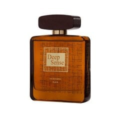 Ароматизированная вода для мужчин Deep Sense EDP, 100 ml цена и информация | Мужские духи | pigu.lt