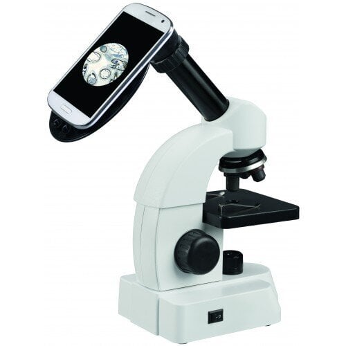 Mikroskopas Junior, 40X-640X, baltas kaina | pigu.lt