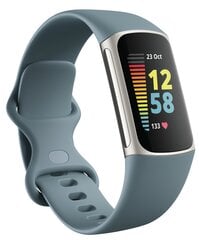 Fitbit Charge 5 Steel Blue/Platinum FB421SRBU kaina ir informacija | Fitbit Išmanieji laikrodžiai, apyrankės | pigu.lt