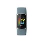 Fitbit Charge 5 Steel Blue/Platinum FB421SRBU kaina ir informacija | Išmaniosios apyrankės (fitness tracker) | pigu.lt