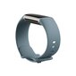 Fitbit Charge 5 Steel Blue/Platinum kaina ir informacija | Išmaniosios apyrankės (fitness tracker) | pigu.lt