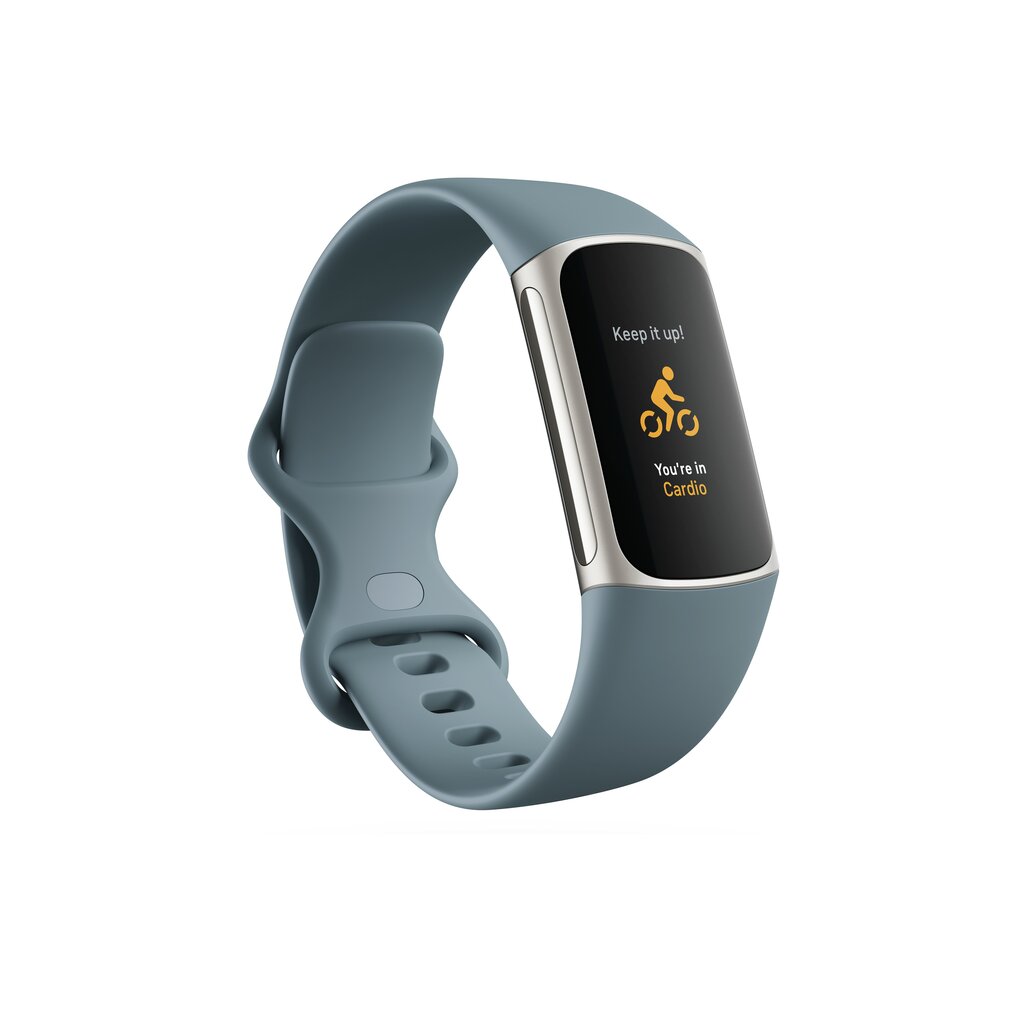 Fitbit Charge 5 Steel Blue/Platinum FB421SRBU kaina ir informacija | Išmaniosios apyrankės (fitness tracker) | pigu.lt