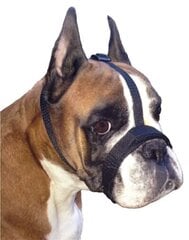Намордник с регулируемым ремешком Grande Finale 2 (S) цена и информация | Ошейники, подтяжки для собак | pigu.lt