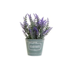 Dekoratyvinis augalas DKD Home Decor kaina ir informacija | Dirbtinės gėlės | pigu.lt