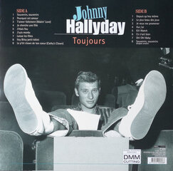 Vinilinė plokštelė Johnny Hallyday "Toujours" kaina ir informacija | Vinilinės plokštelės, CD, DVD | pigu.lt