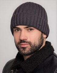 Мужская шапка, темно-серый цена и информация | Мужские шарфы, шапки, перчатки | pigu.lt