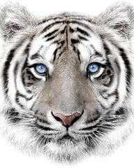 Плед Tiger, 120x150 см цена и информация | Покрывала, пледы | pigu.lt